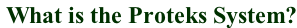 What is the Proteks System?
